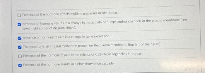 Solved This figure shows a 'generic' signal transduction and | Chegg.com