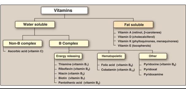 is vitamin c water or lipid soluble Solved Vitamins Water soluble Fat soluble Vitamin A