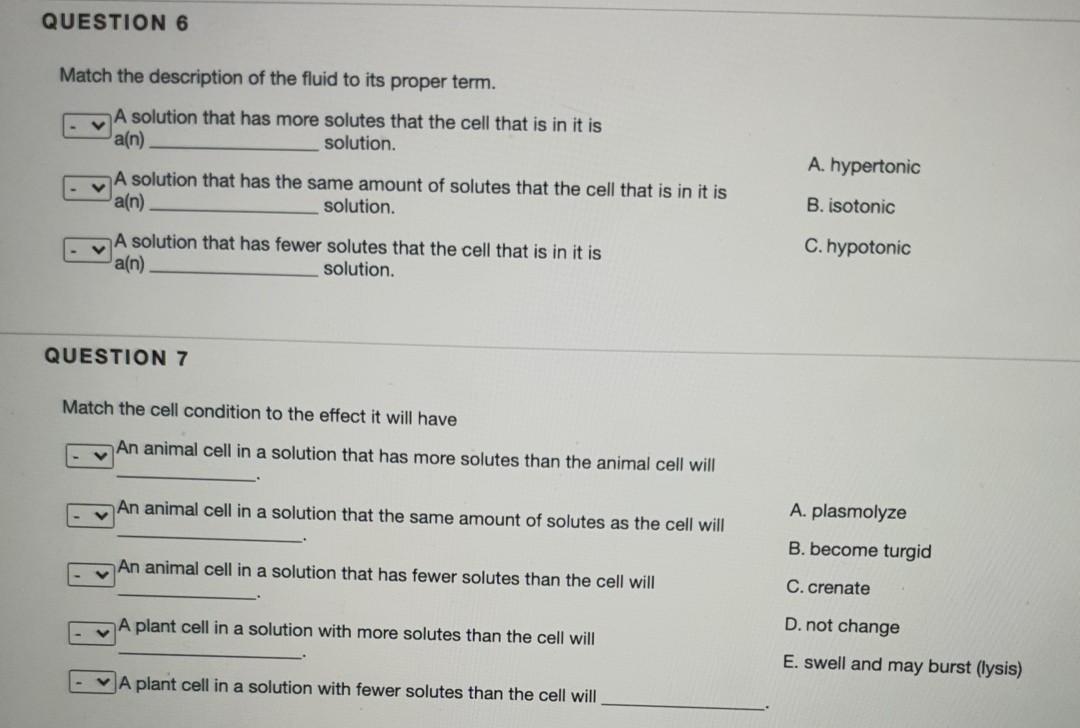 Solved QUESTION 6 Match the description of the fluid to its | Chegg.com