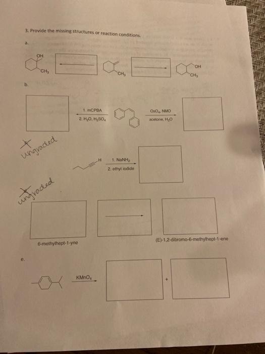 Solved An 2 Question Below, Circle: The Molecule That | Chegg.com