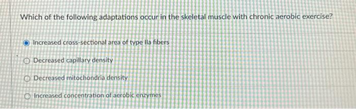 which of the following adaptations does not generally occur with aerobic exercise