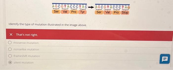 Solved Identify the type of mutation illustrated in the | Chegg.com