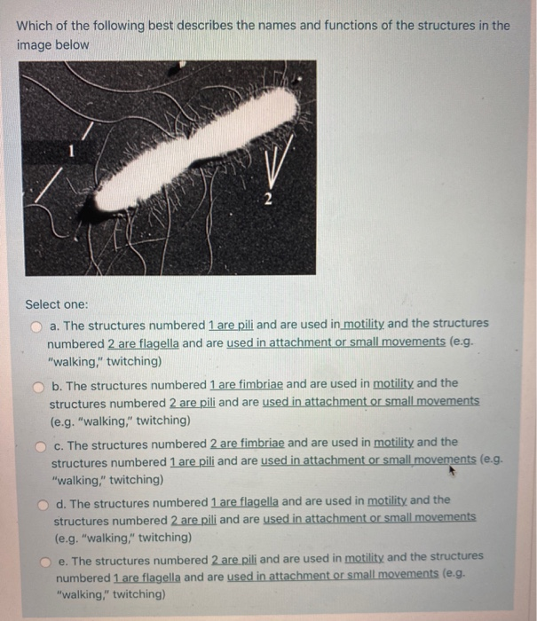 Solved Which of the following are unique to archaeal lipids