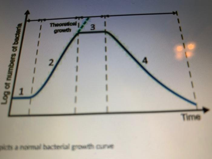 Solved Identify the four stages of the growth curve shown | Chegg.com