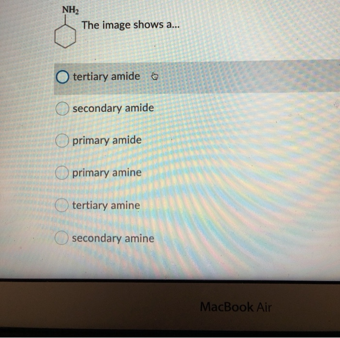 Solved NH2 The image shows a. O tertiary amide O secondary | Chegg.com