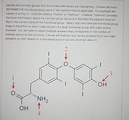 Solved Identify the function groups that the arrows with | Chegg.com