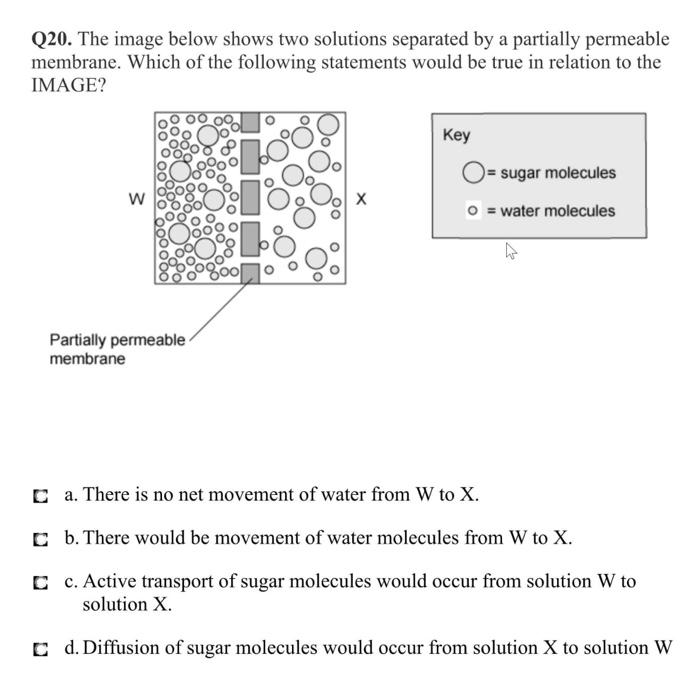 Solved Q20. The image below shows two solutions separated by 