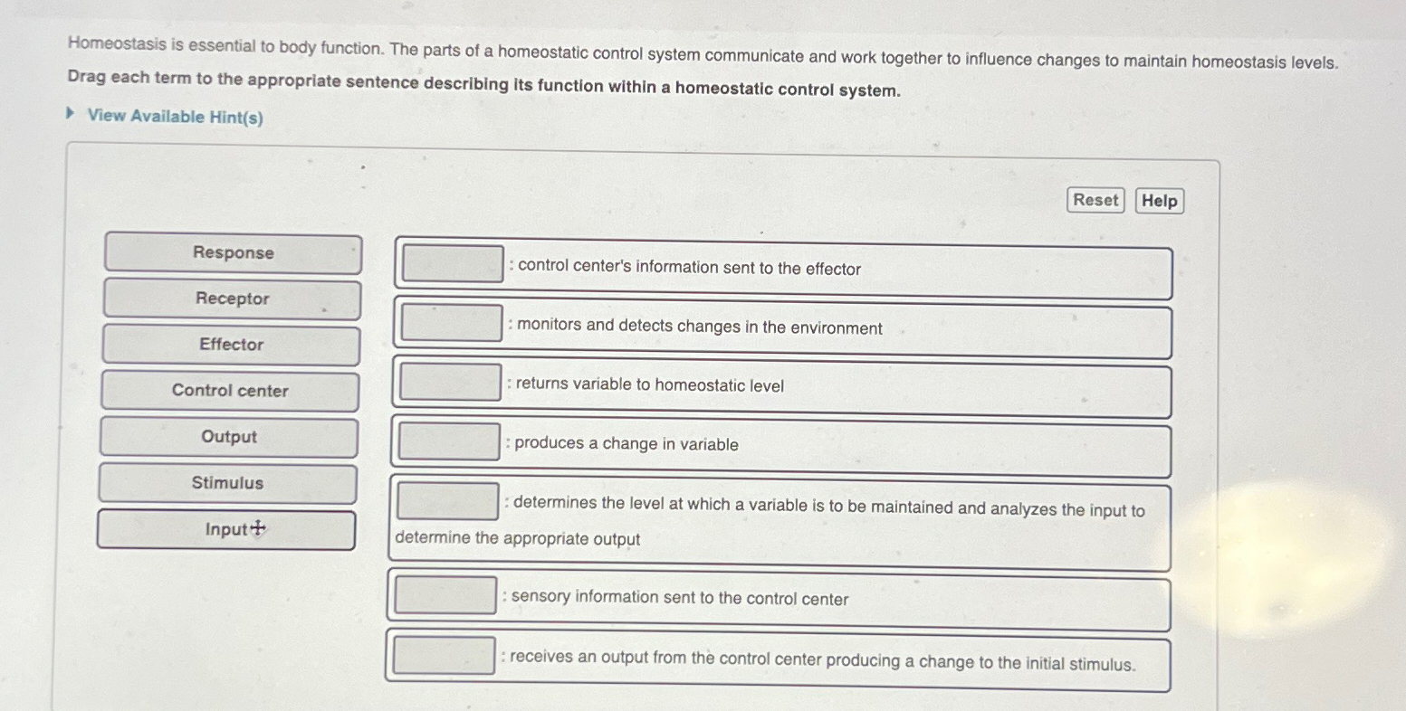 solved-homeostasis-is-essential-to-body-function-the-parts-chegg