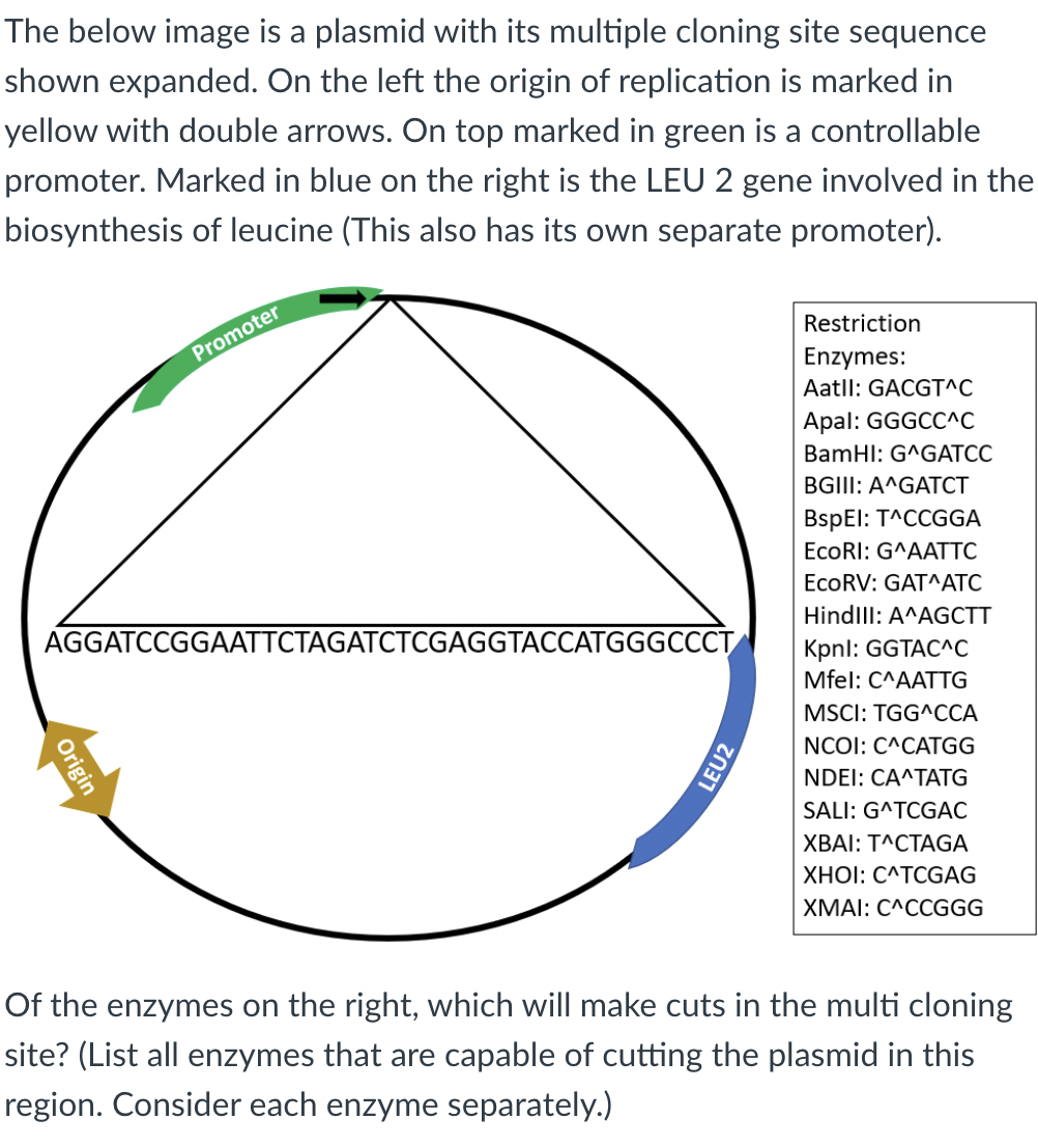Solved The below image is a plasmid with its multiple | Chegg.com