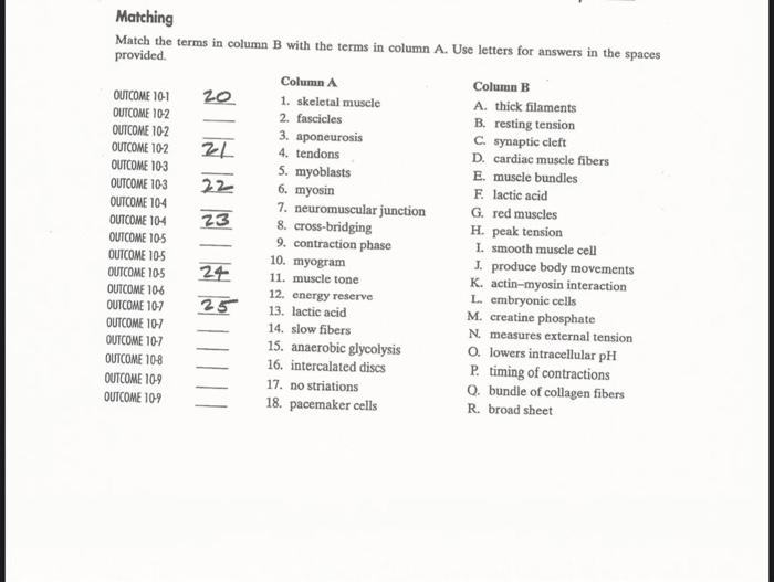 Solved Matching Match the terms in column B with the terms | Chegg.com