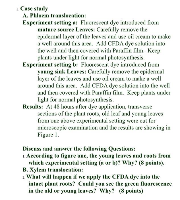 phloem translocation experiments answers