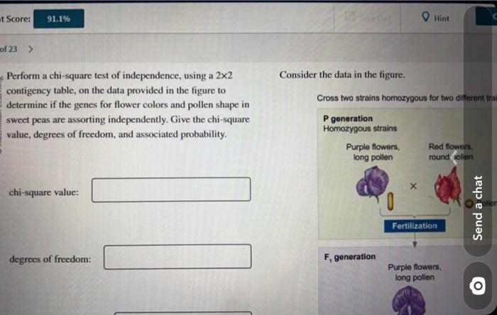 Solved Perform a chi-square test of independence, using a | Chegg.com