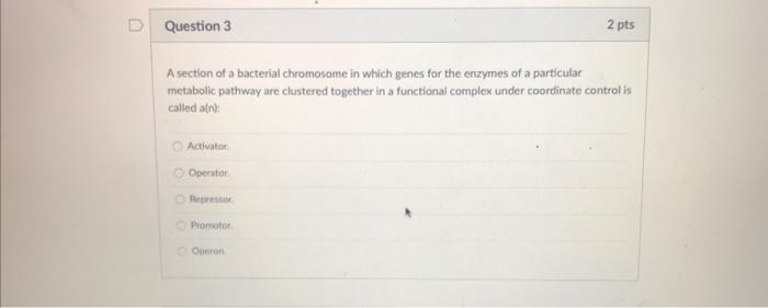 Solved Question 3 2 pts A section of a bacterial chromosome | Chegg.com