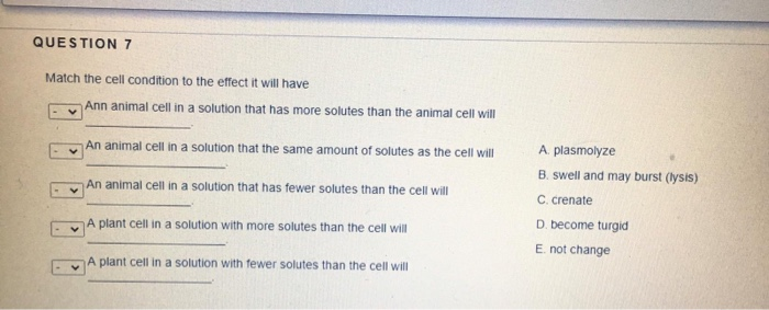 Solved QUESTION 2 Which of the following is NOT a function | Chegg.com