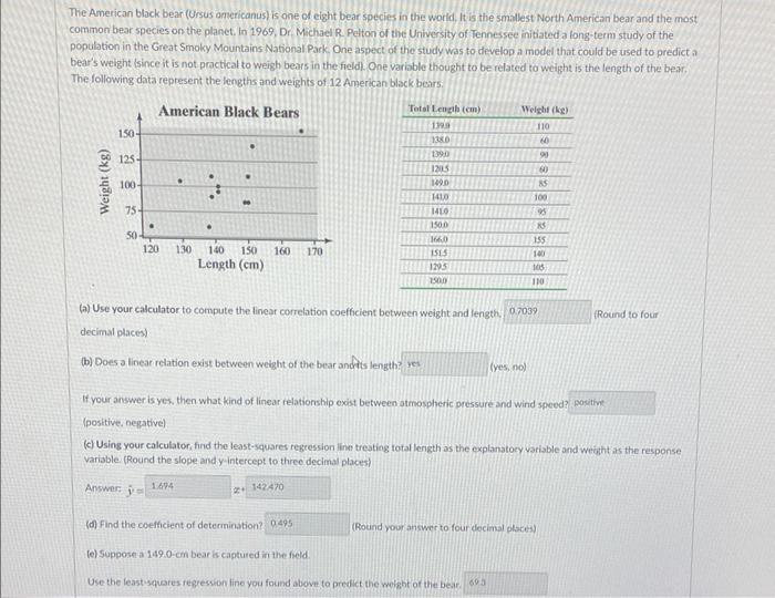 Solved The American black bear (Ursus omericanus) is one of | Chegg.com