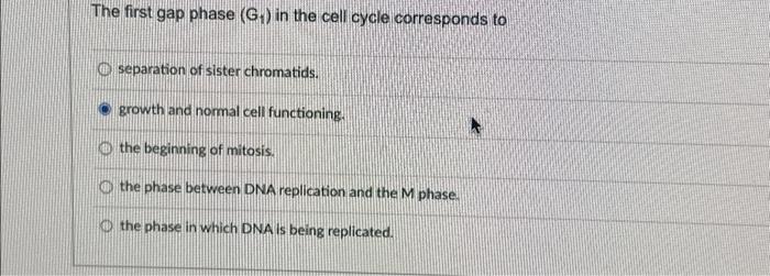 Solved The first gap phase (G₁) in the cell cycle | Chegg.com