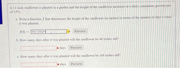 Solved A 11-inch sunflower is planted in a garden and the | Chegg.com