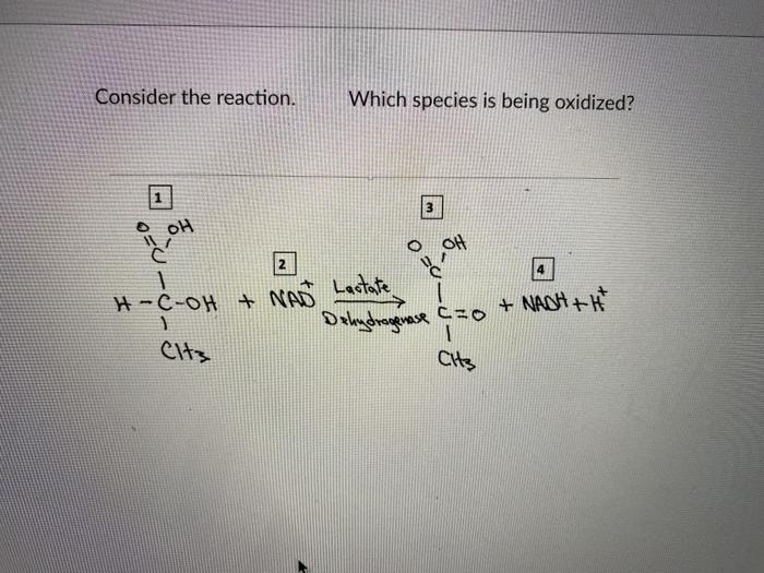 Solved Referring To The Enzyme Catalyzed Reaction Shown In 6011