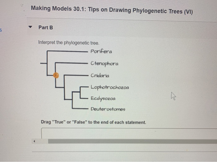 Solved Making Models 30.1 Tips on Drawing