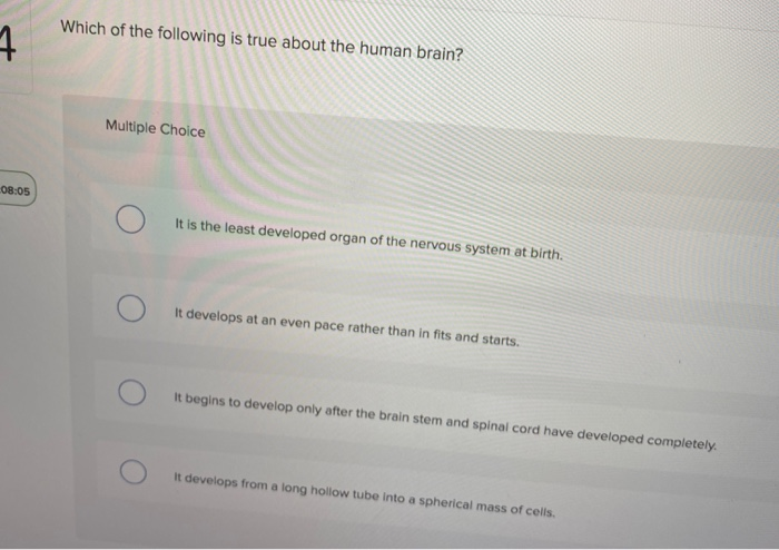 Solved Which of the following is true about the human brain? | Chegg.com
