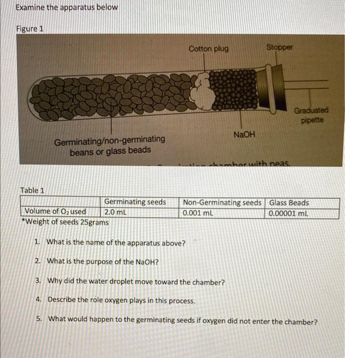 Solved Examine the apparatus below Figure 1 Cotton plug