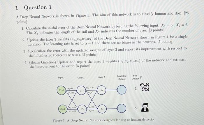 Solved A Deep Neural Network is shown in Figure 1. The aim | Chegg.com