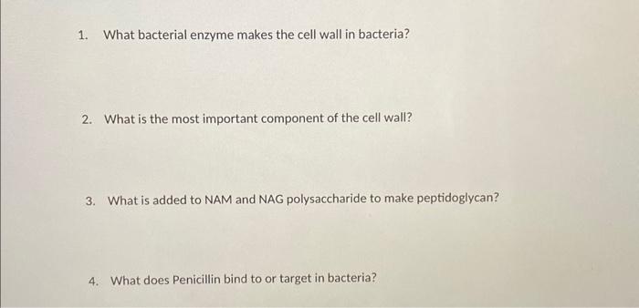 Solved 1. What bacterial enzyme makes the cell wall in | Chegg.com
