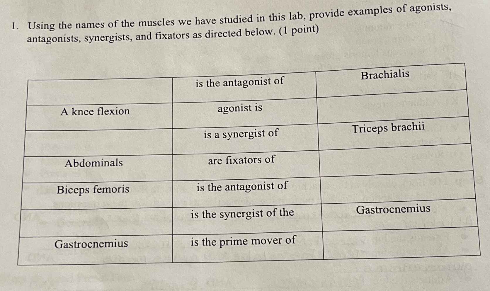 Solved Using the names of the muscles we have studied in | Chegg.com