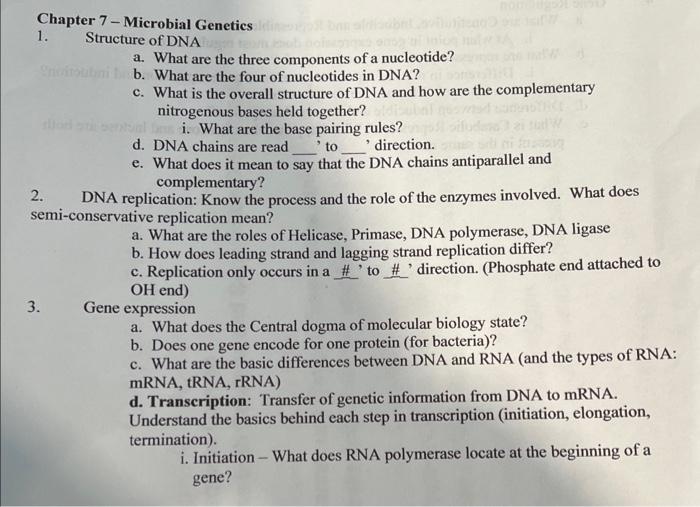 Solved Chapter 7-Microbial Genetics 1. Structure Of DNA A. | Chegg.com