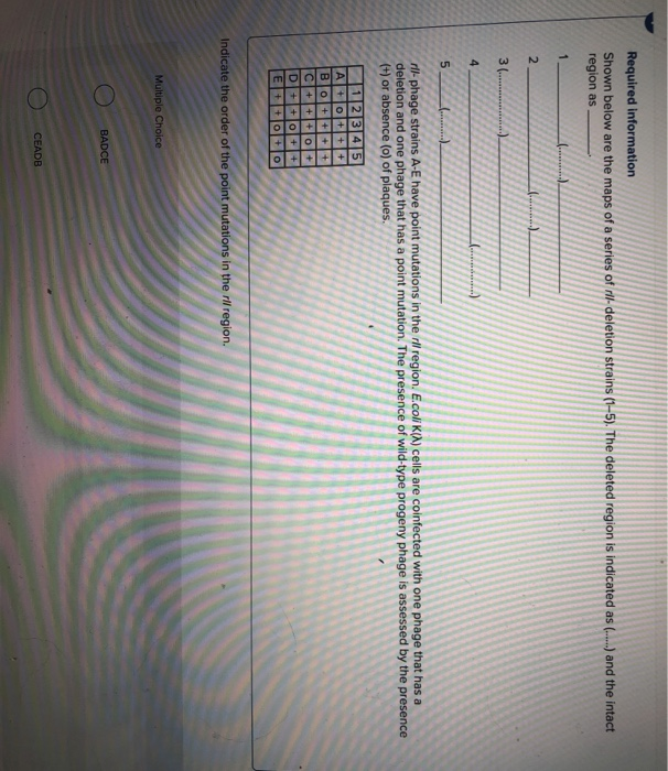 Solved Deletion Mapping Athe Locations Of Six Deletions Or Cheggcom