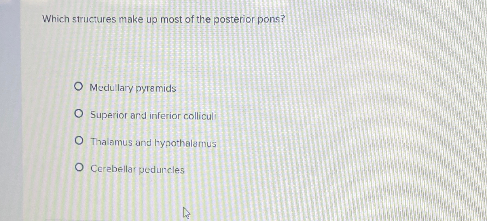 Solved Which structures make up most of the posterior | Chegg.com