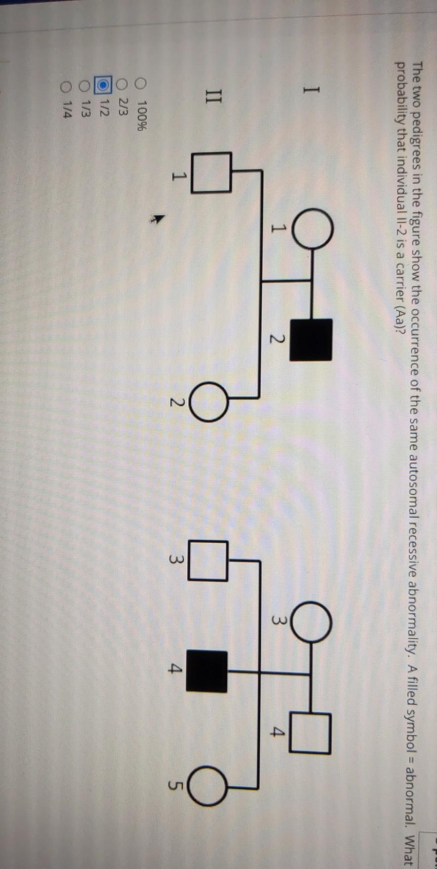 The two pedigrees in the figure show the occurrence of the same autosomal recessive abnormality. A filled symbol = abnormal.