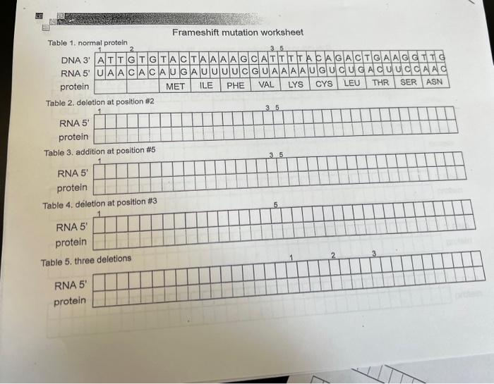Solved Frameshift mutation worksheet Table 1, nFrameshift