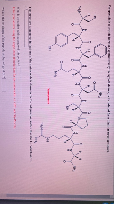 vasopressin structure