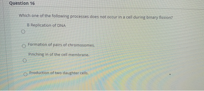 Solved Question 16 Which One Of The Following Processes Does | Chegg.com Solved Question 16 Which One Of The Following Processes Does | Chegg.com