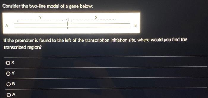 Solved Consider the two-line model of a gene below: If the | Chegg.com