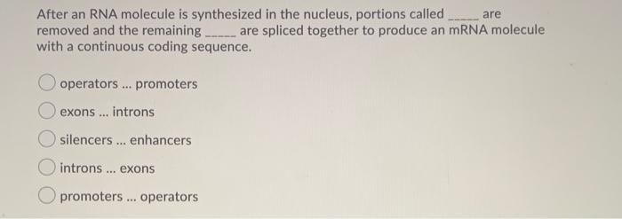 Solved are After an RNA molecule is synthesized in the | Chegg.com