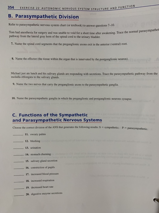 Parasympathetic Nervous System Chart