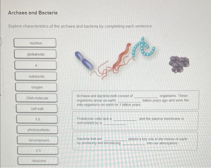 Solved Archaea and Bacteria Explore characteristics of the | Chegg.com