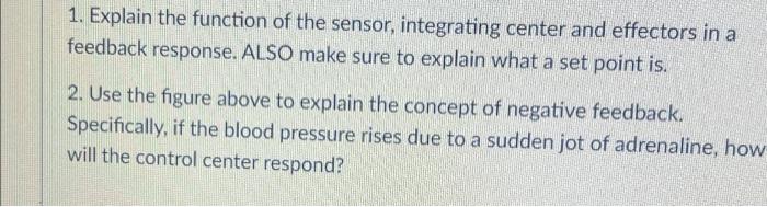 1. Explain the function of the sensor, integrating center and effectors in a
feedback response. ALSO make sure to explain wha