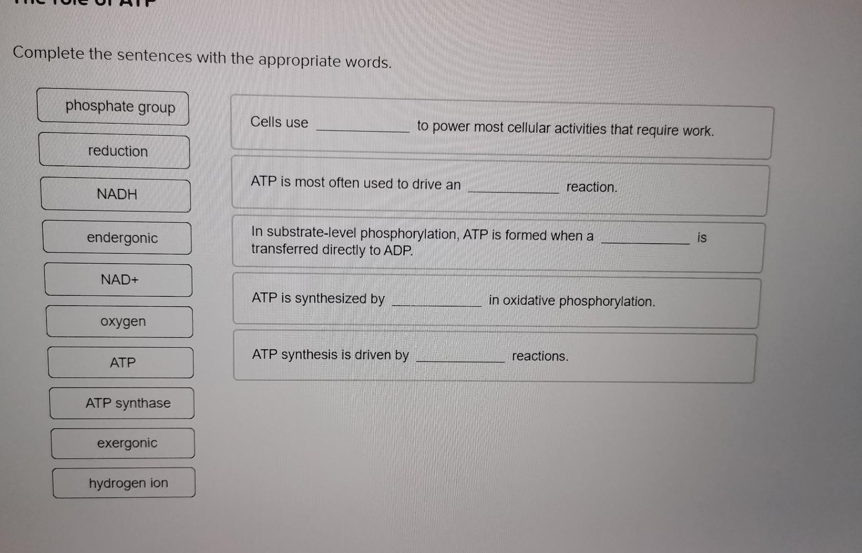 Complete the sentences with the appropriate words | Samokatschool.ru
