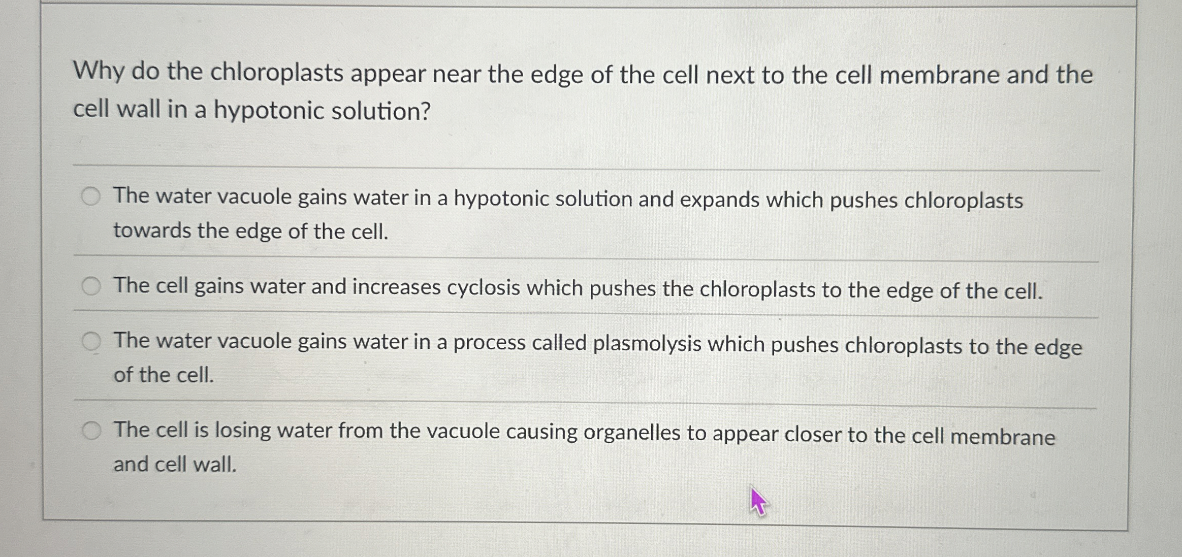 Solved Why do the chloroplasts appear near the edge of the