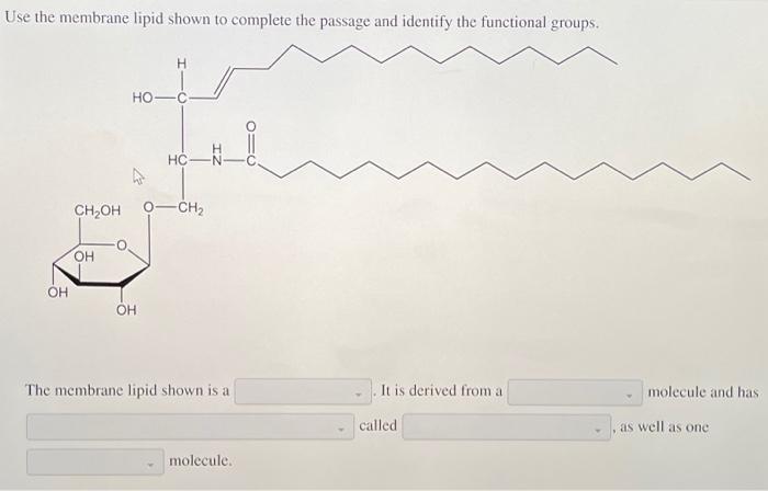 Solved Use the membrane lipid shown to complete the passage | Chegg.com