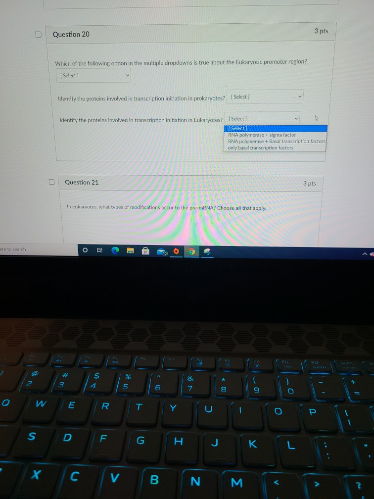Solved Question 20 3 pts Which of the following option in | Chegg.com