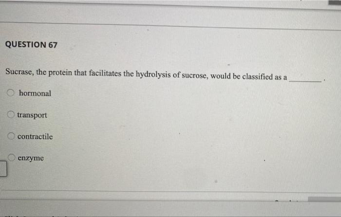 Solved QUESTION 67 Sucrase, the protein that facilitates the | Chegg.com