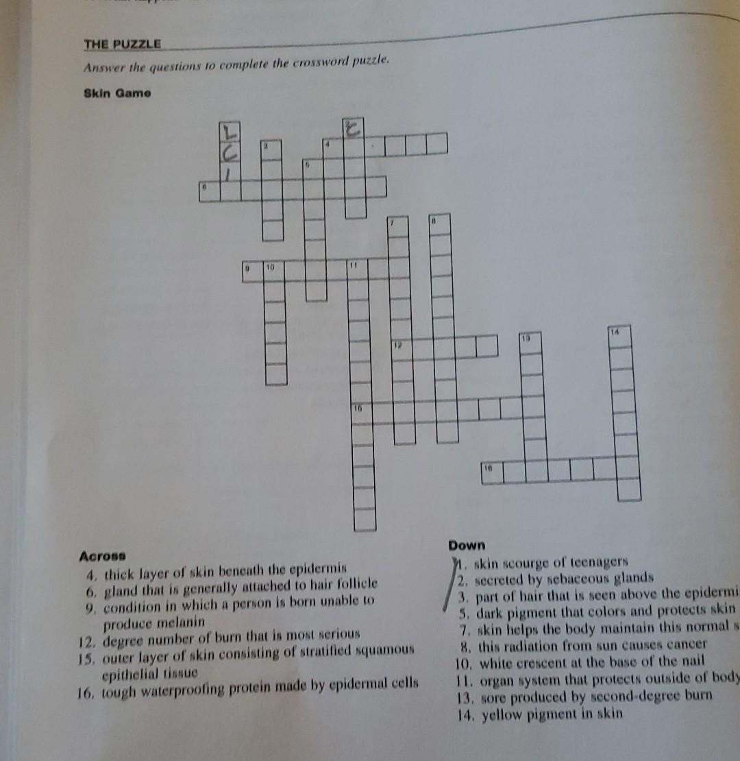 Solved THE PUZZLE Answer the questions to complete the Chegg