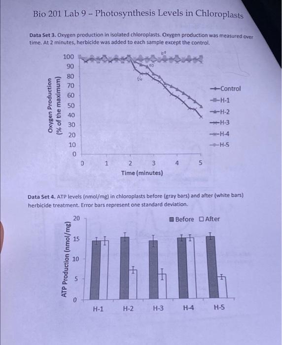 Solved Bio 201 Lab 9 - Photosynthesis Levels in Chloroplasts | Chegg.com