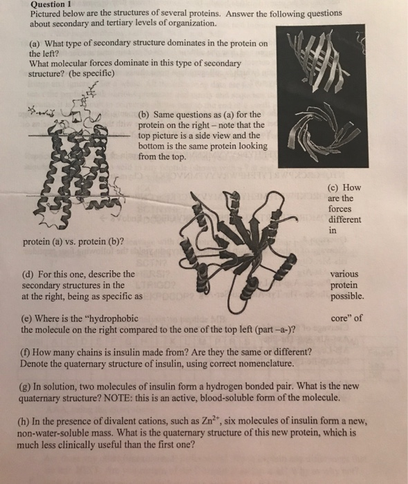 Solved Question 1 Pictured below are the structures of | Chegg.com