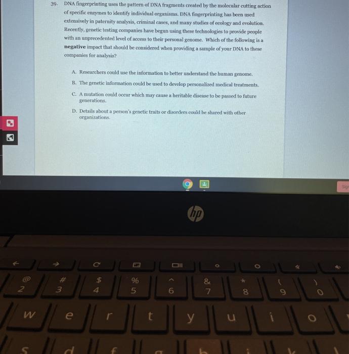 Solved 14. How Do Plants Use Energy From The Sun? A. Plan...
