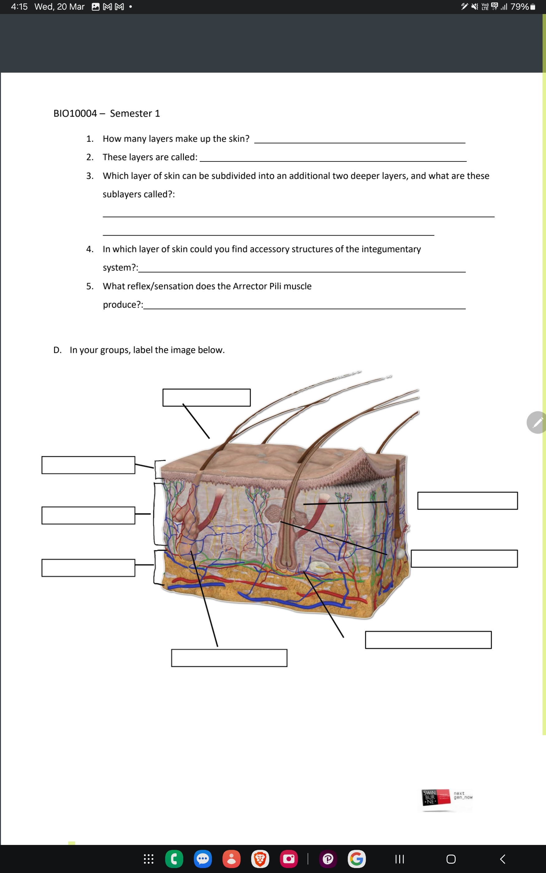 Solved Fundamentals of Anatomy & Physiology, Global | Chegg.com